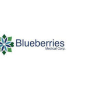 Blueberries Medical Moves Towards Commercial Production & Provides Corporate Update