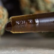 Can cannabis oil really ease the pains of working life?