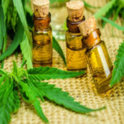 Cannabis Stocks Bounces Back As FDA Signals Key Regulatory Developments 
