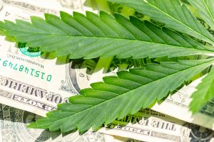 Canopy Growth Corp: What Does the Future Hold for CGC Stock and the Marijuana Market as a Whole?