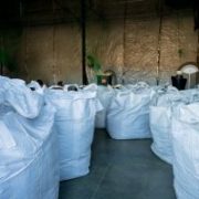 Fiber, grain varieties bring distinct storage needs for hemp producers