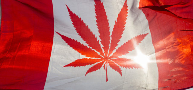 Here’s How Much Legal Marijuana Canada Has Sold Since Legalizing Adult-Use Cannabis
