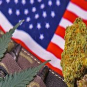 How to Celebrate Independence Day With Safe Cannabis Use