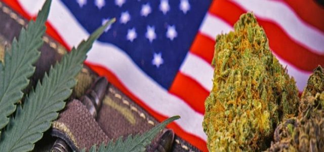 How to Celebrate Independence Day With Safe Cannabis Use