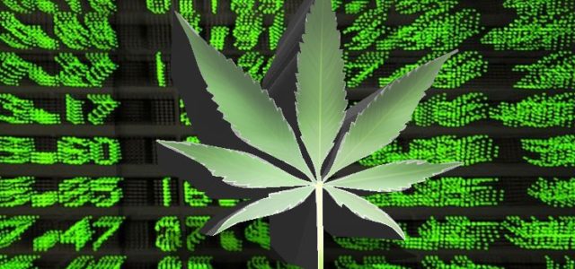 Is Investing in Marijuana Stocks the Right Choice?