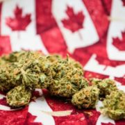 Is This A Canadian Marijuana Stock To Buy Or Sell This Month?