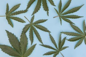 Marijuana News Today: Another State Furthers U.S. Marijuana Legalization