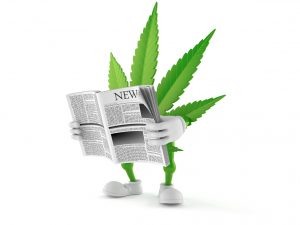 Marijuana News Today: Cannabis Investors' Increased Confidence in Pot Industry Bodes Well for Marijuana Stocks