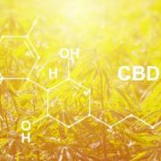 Marijuana News Today: CBD Market Could See Huge Growth for Investors