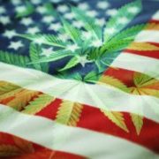 Marijuana News Today: Great Sign for U.S. Marijuana Legalization & Great Sign for Pot Stocks