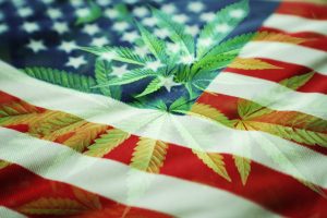 Marijuana News Today: Great Sign for U.S. Marijuana Legalization & Great Sign for Pot Stocks