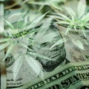 Marijuana News Today: Massive Shake-Up at Canopy Growth Causes Waves in Pot Stock Market