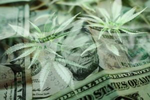 Marijuana News Today: Massive Shake-Up at Canopy Growth Causes Waves in Pot Stock Market