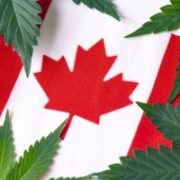 Marijuana News Today: Pressure Builds to Improve Canadian Marijuana Market & Help Pot Stocks