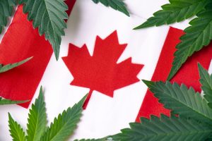 Marijuana News Today: Pressure Builds to Improve Canadian Marijuana Market & Help Pot Stocks