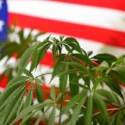 Marijuana News Today: The U.S. Senate Could Help Jump-Start Pot Stocks