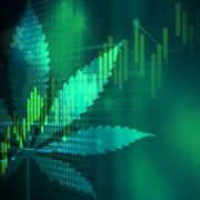 Marijuana Stock Organigram (OGI) is up 25% This Week Amid Increased Revenue Growth