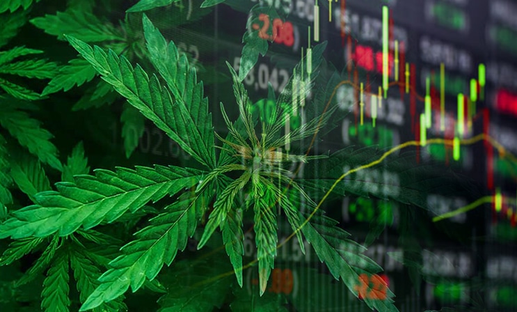 marijuana stocks July