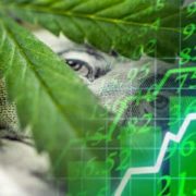 Marijuana Stocks Newsletter – July 15, 2019