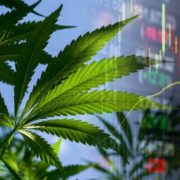 Marijuana Stocks Tuesday Morning News, Articles & More – July 2, 2019