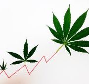 MYM Nutraceuticals Inc: Cannabis Stock Selloff Has Put MYMMF Stock in a Better Range
