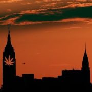 New York Weed Dealers on Legalization: ‘I Don’t Want to Be Left in the Dark’