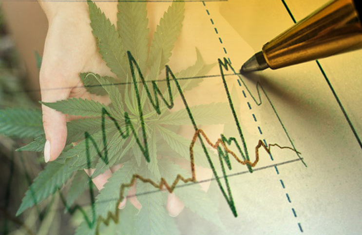 marijuana stocks news