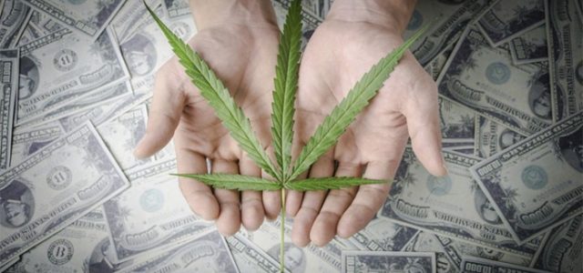 These Marijuana Stocks Are Shaping The Industry