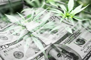 This Pot Stock Just Gave Investors a Big “Pay Raise”