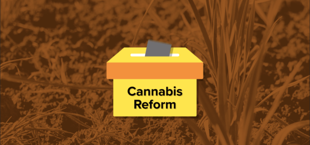 Top Ten Reasons NCIA Supports De-Scheduling Cannabis