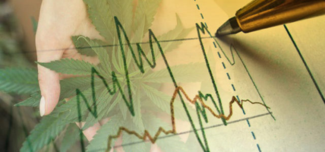 Two Marijuana Stocks Worth Keeping an Eye On