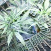 Wall Street’s Increasing Presence in Pot Will Spark Huge Growth Among Marijuana Stocks