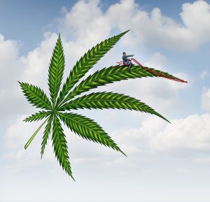 ACB Stock: Aurora Cannabis Inc Climbs Following Revenue Guidance