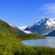 Alaska governor cuts funding for hemp program, cites no existing industry