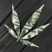 Marijuana News Today: How to Find Growth Among Medical Marijuana Stocks