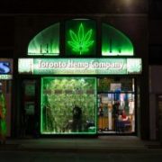 Marijuana News Today: Pot Stock Market Stops Descent, Canada Relaxes Regulation