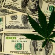 Marijuana News Today: Warren Buffet, Bill Gates on Pot Stocks