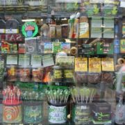 Study finds more edible pot among Colorado teen users