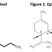 Classifying Medical Cannabis vs. Traditional Pharmaceuticals Guides Marketing Efforts