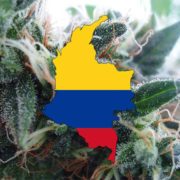 Colombia Is Turning Into A Major Medical Marijuana Producer