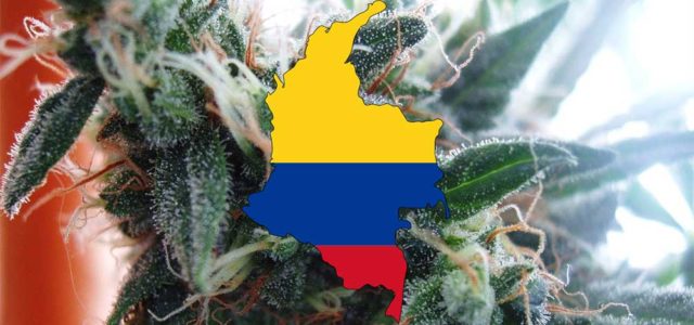 Colombia Is Turning Into A Major Medical Marijuana Producer