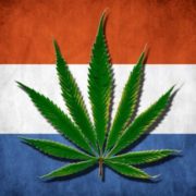 Dutch Cities Try a ‘Weed Test’ to Fix a Quirk of Legal Cannabis