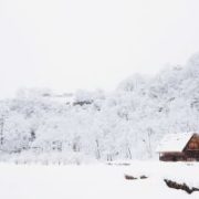 Early snow threatens Western hemp, sends farmers scrambling