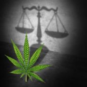 Great Signs That U.S. Marijuana Legalization & Pot Stock Gains Are on the Way