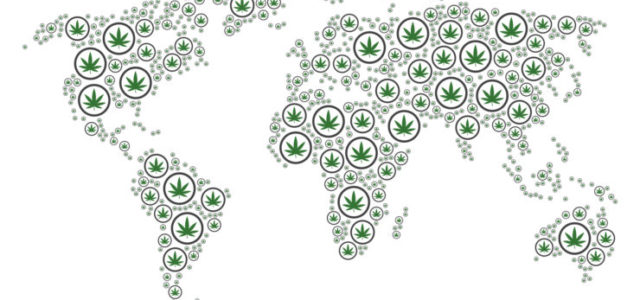 International Cannabis: Breaking the Law, Staying Honest