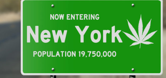 Is New York Moving Further AWAY From Cannabis Legalization?