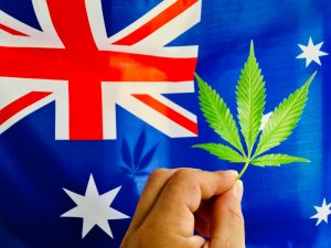 Marijuana Legalization Gains Steam in Australia: Great News for Pot Stocks