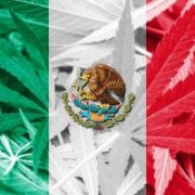 Marijuana News Today: Pot Legalization Spreads, Weed Stock Market Rises
