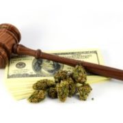 Marijuana News Today: U.S. Marijuana Legalization Support Continues to Swell