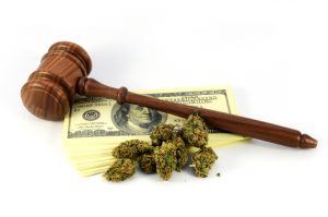 Marijuana News Today: U.S. Marijuana Legalization Support Continues to Swell